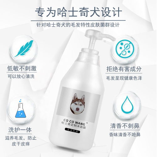 宠爱从沐浴开始 哈士奇专用沐浴露为何成为宠物主的心头好？